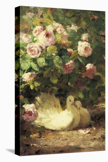 Two Doves-Alphonse Muraton-Premier Image Canvas