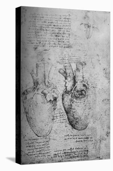 'Two Drawings of the Heart', c1480 (1945)-Leonardo Da Vinci-Premier Image Canvas