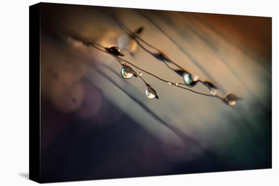 Two Droplets-Ursula Abresch-Premier Image Canvas