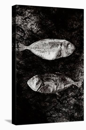Two Dry Fishlying on a Piece of Elephant Paper-Torsten Richter-Premier Image Canvas