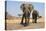 Two Elephants Stand Around A Water Hole-Karine Aigner-Premier Image Canvas