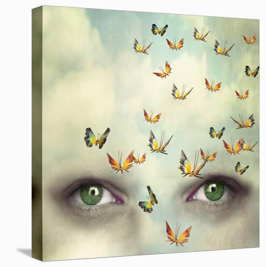 Two Eyes with the Sky and So Many Butterflies Flying on the Forehead-Valentina Photos-Stretched Canvas