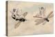 Two Fairies Flying Through the Air, One Seated on a Bee and the Other on a Dragonfly-Amelia Jane Murray-Premier Image Canvas