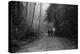 Two Figures Walking in Distance in Woodland-Sharon Wish-Premier Image Canvas