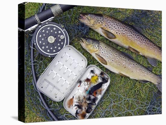 Two Fine Brown Trout Caught with Dapping Fly and Rod from a Boat on Loch Ba-John Warburton-lee-Premier Image Canvas