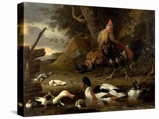 Two Fowls and Ducks on a Pond (Oil on Canvas)-Melchior de Hondecoeter-Premier Image Canvas