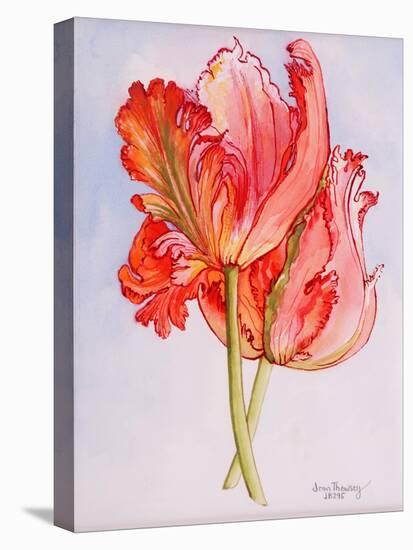 Two Frilled Tulips, 2000-Joan Thewsey-Premier Image Canvas