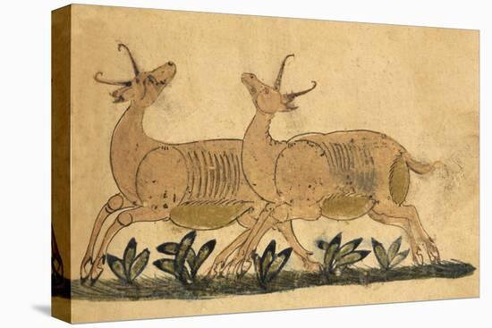 Two Gazelles-Aristotle ibn Bakhtishu-Premier Image Canvas