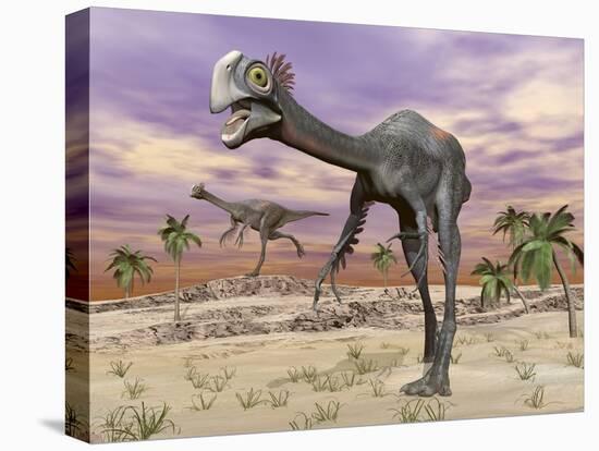 Two Gigantoraptor Dinosaurs Walking in the Desert-null-Stretched Canvas