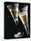 Two glasses of champagne-null-Premier Image Canvas