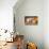 Two Gloucester Old Spot Piglets with Pumpkins-null-Premier Image Canvas displayed on a wall