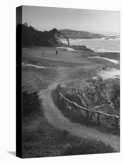Two Golfers Playing on a Putting Green at Pebble Beach Golf Course-Nina Leen-Premier Image Canvas