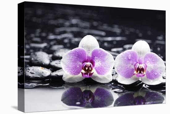 Two Gorgeous Orchid on Stones Reflection-crystalfoto-Premier Image Canvas