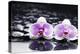 Two Gorgeous Orchid on Stones Reflection-crystalfoto-Premier Image Canvas