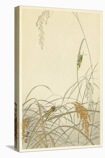 Two Grasshoppers on Grass Plants, by Japanese Artist Ohara Koson-Ohara Koson-Premier Image Canvas