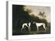 Two Greyhounds-unknown Boultbee-Stretched Canvas