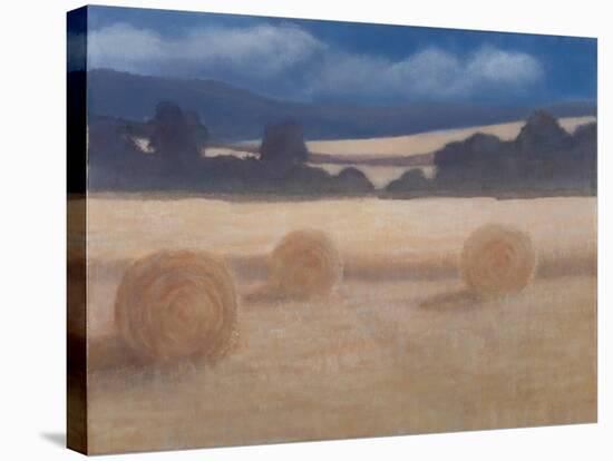 Two Hay Bales, 2012-Lincoln Seligman-Premier Image Canvas