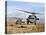 Two HH-60 Pavehawk Helicopters Preparing to Land-Stocktrek Images-Premier Image Canvas