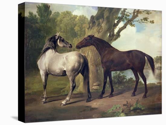 Two Horses in a Landscape-George Stubbs-Premier Image Canvas