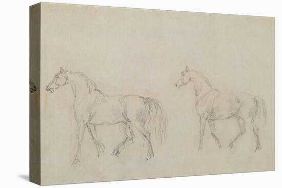 Two Horses Walking Left-Sawrey Gilpin-Premier Image Canvas