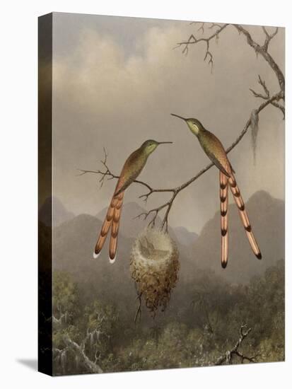 Two Hummingbirds with Their Young, c.1865-Martin Johnson Heade-Premier Image Canvas