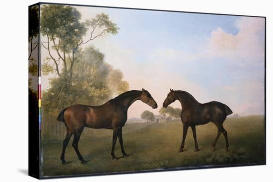 Two Hunters Out at Grass-George Stubbs-Premier Image Canvas