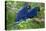 Two Hyacinth Macaws-Howard Ruby-Premier Image Canvas