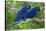 Two Hyacinth Macaws-Howard Ruby-Premier Image Canvas