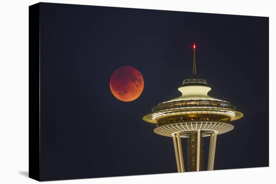 Two Image Composite to Account for Brightness of the Needle-Gary Luhm-Premier Image Canvas