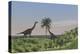 Two Large Brachiosaurus Grazing on a Tall Tree-null-Stretched Canvas