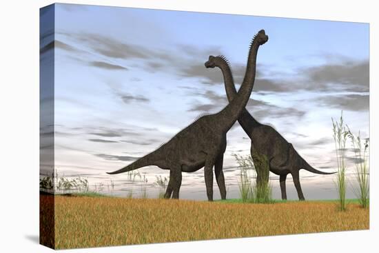 Two Large Brachiosaurus in Prehistoric Grasslands-null-Stretched Canvas