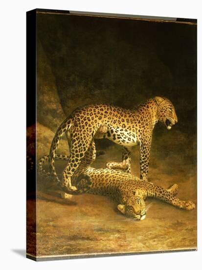 Two Leopards Lying in the Exeter Exchange, 1808-Jacques-Laurent Agasse-Premier Image Canvas