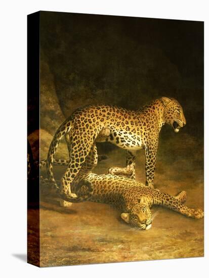 Two Leopards Lying in the Exeter Exchange, 1808-Jacques-Laurent Agasse-Premier Image Canvas