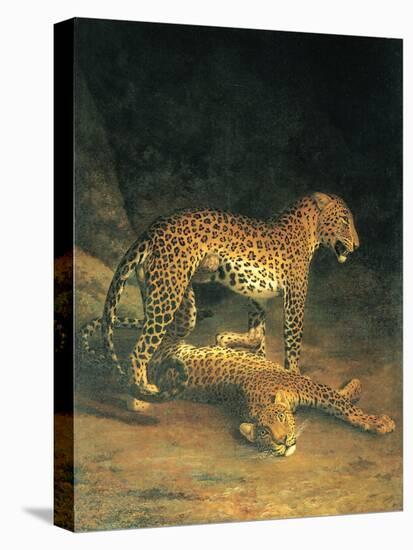 Two Leopards Playing-Jacques Laurent-Stretched Canvas