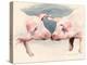 Two Little Piggies, 2012-Alison Cooper-Premier Image Canvas