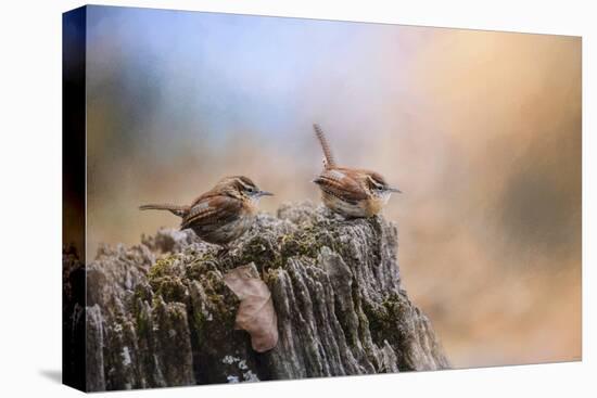 Two Little Wrens-Jai Johnson-Premier Image Canvas