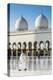 Two Middle Eastern men traditionally dressed walking in the courtyard of the Sheikh Zayed Mosque, A-Stefano Politi Markovina-Premier Image Canvas