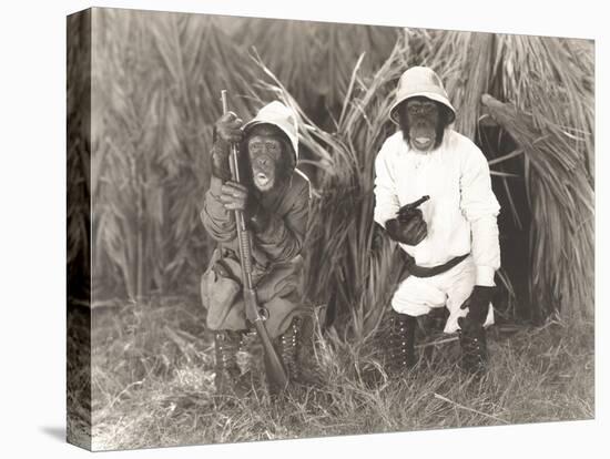 Two Monkeys Dressed in Safari Outfits-null-Stretched Canvas