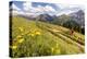Two Mountain Bikers Riding Through A Flower-Picked Alpine Meadow In Austria-Axel Brunst-Premier Image Canvas
