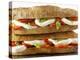 Two Mozzarella and Tomato Baguettes-Paul Williams-Premier Image Canvas