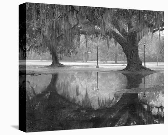 Two Oaks and Reflection, Audubon Park, NOLA-William Guion-Stretched Canvas