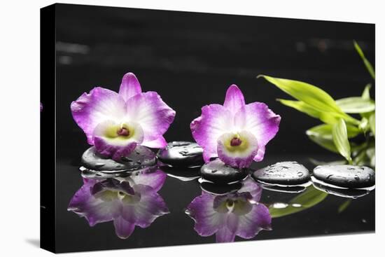 Two Orchid and Stones with Bamboo Green Leaf-crystalfoto-Premier Image Canvas