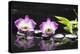 Two Orchid and Stones with Bamboo Green Leaf-crystalfoto-Premier Image Canvas