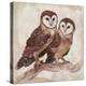 Two Owls II-Lisa Ven Vertloh-Stretched Canvas