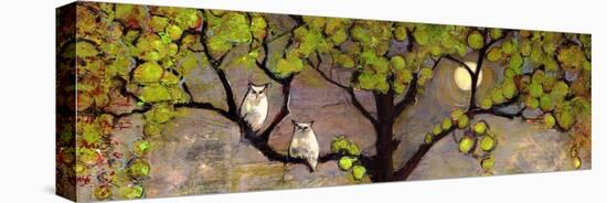 Two Owls in the Moon Light-Blenda Tyvoll-Stretched Canvas