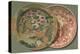 Two Painted Chinese Plates-null-Stretched Canvas