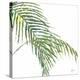 Two Palm Fronds II-Georgia Janisse-Stretched Canvas