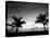 Two Palms BW-John Gusky-Premier Image Canvas