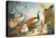 Two Peacocks, Doves, Chickens and a Rooster in a Parkland-Marmaduke Cradock-Premier Image Canvas