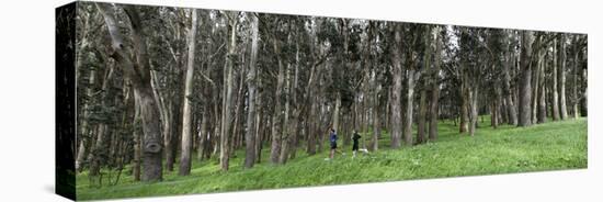 Two People Jogging in a Park, the Presidio, San Francisco, California, USA-null-Premier Image Canvas